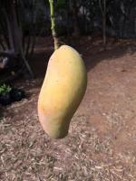 post-14625-0-91123500-1404218542_thumb.j