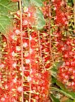 post-147580-0-83596000-1405827011_thumb.