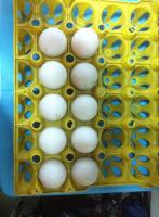 post-154309-0-35417200-1404540407_thumb.