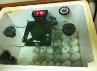 post-154309-0-74396900-1404540408_thumb.