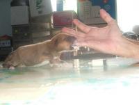 post-15958-0-29551300-1404557767_thumb.j