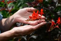 post-175700-0-14131600-1406098244_thumb.