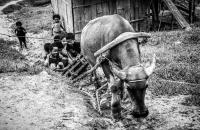 post-175700-0-16147900-1404373165_thumb.