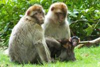 post-175700-0-69756700-1405046171_thumb.