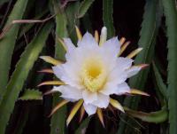 post-175700-0-77999900-1404702133_thumb.