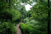 post-175700-0-98520500-1406776905_thumb.