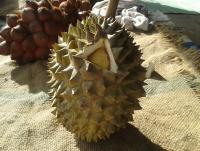 post-17753-0-49105000-1404726557_thumb.j