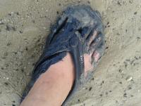 post-17753-0-72029700-1405152264_thumb.j