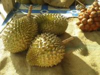 post-17753-0-76612300-1404726562_thumb.j