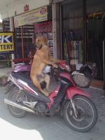 post-20803-0-74962000-1404291943_thumb.j