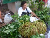 post-2215-0-20458300-1404414808_thumb.jp