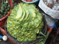 post-2215-0-52469900-1404415085_thumb.jp