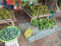 post-2215-0-83913400-1404414714_thumb.jp