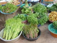 post-2215-0-89194300-1404415196_thumb.jp