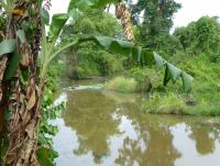 post-24958-0-20700000-1404198867_thumb.j