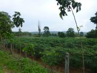 post-24958-0-36908100-1404198996_thumb.j