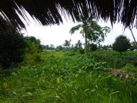 post-24958-0-50200400-1404198340_thumb.j