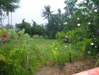 post-24958-0-62407800-1404199526_thumb.j