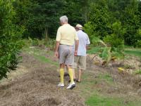 post-24958-0-63041000-1404198662_thumb.j