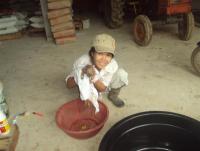 post-32351-0-40056600-1405838573_thumb.j