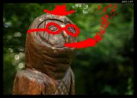 post-35260-0-92048400-1405984511_thumb.j