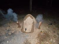 post-4090-0-19821600-1405599976_thumb.jp