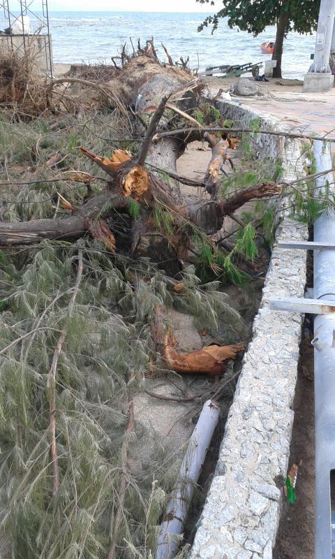 post-110622-0-44122900-1437911279_thumb.