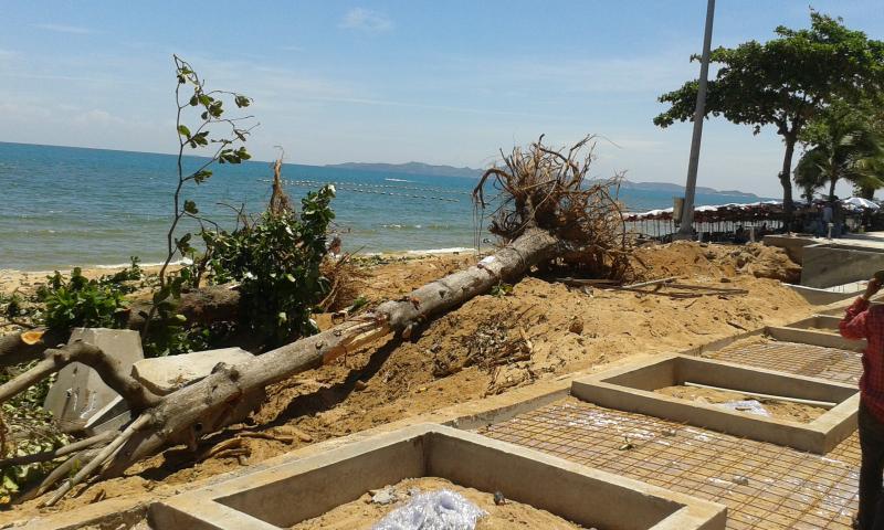 post-110622-0-84713600-1437812815_thumb.