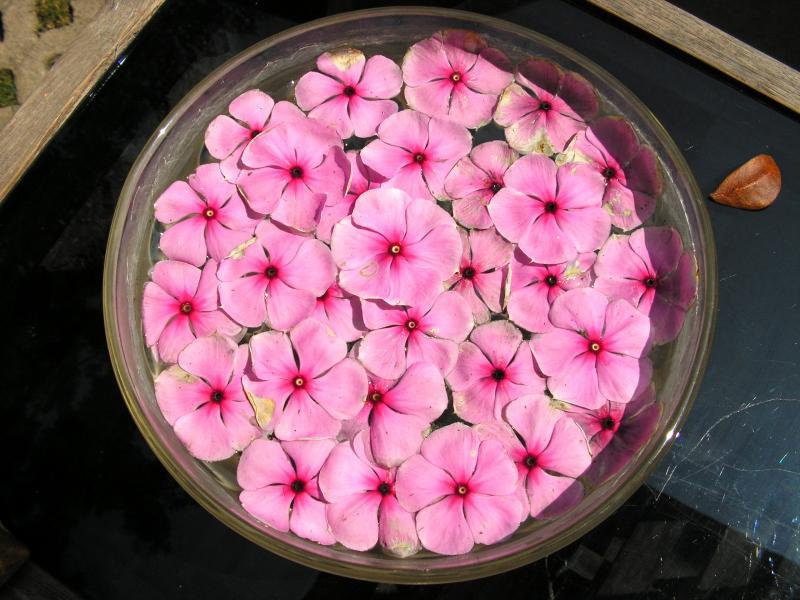 post-119985-0-96098700-1436423716_thumb.