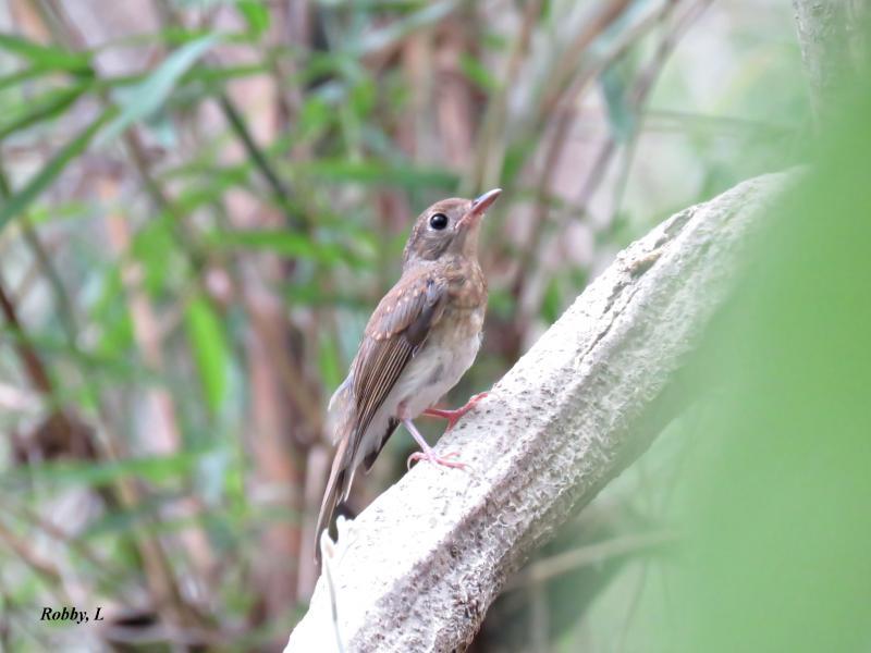 post-12069-0-82877700-1436451660_thumb.j