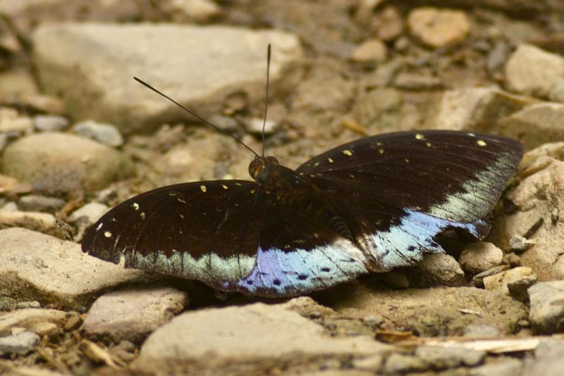 post-128422-0-07353800-1437638676_thumb.