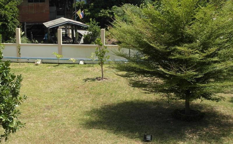 post-14979-0-35195900-1436511738_thumb.j