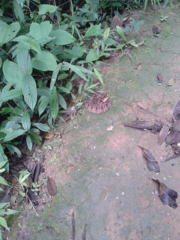 post-150623-0-06124400-1436972440_thumb.