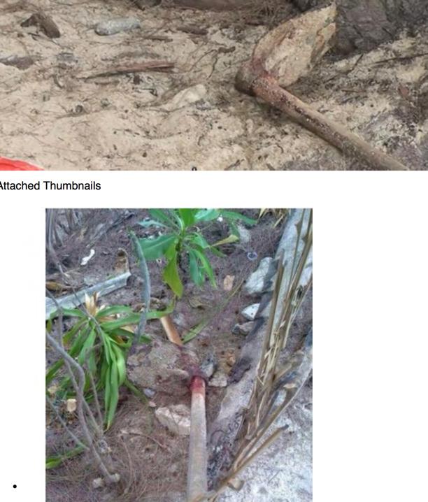 post-155768-0-67199600-1437228069_thumb.