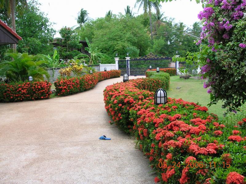 post-162723-0-59990200-1436854199_thumb.