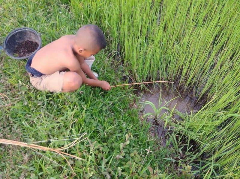 post-175700-0-14780700-1437377029_thumb.