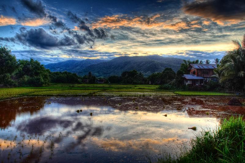 post-228573-0-17735100-1438099983_thumb.