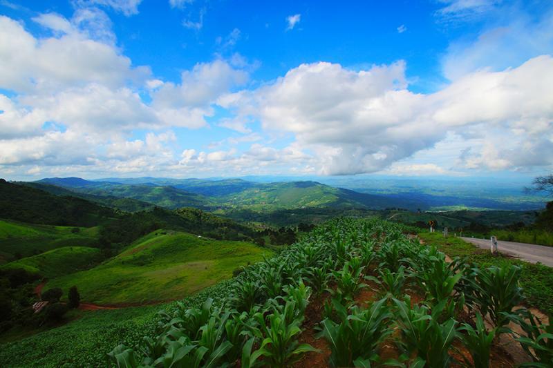 post-228573-0-69234200-1436433662_thumb.