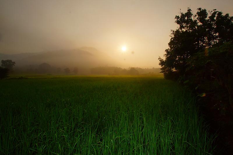 post-228573-0-89029700-1436844319_thumb.