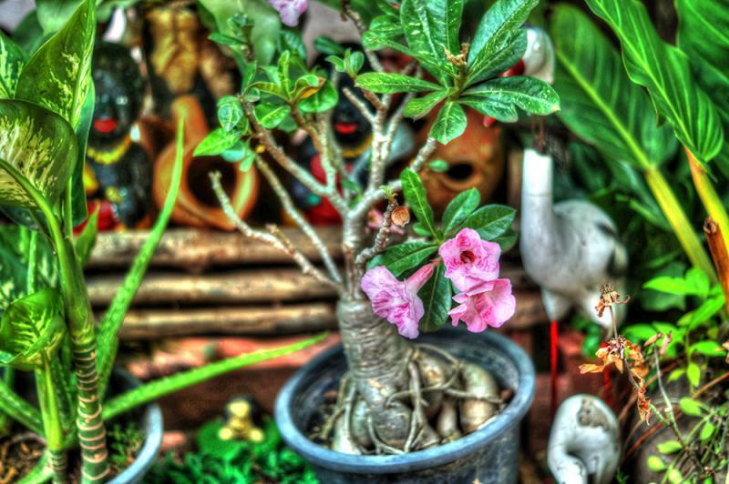 post-228573-0-90228200-1437540009_thumb.