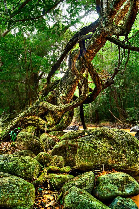 post-228573-0-93501700-1437019889_thumb.