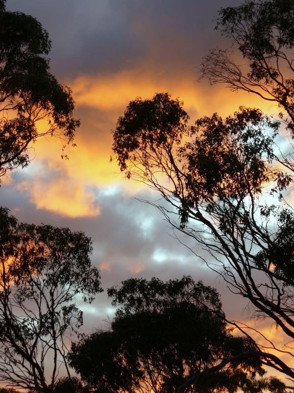 post-231841-0-04261900-1438015355_thumb.