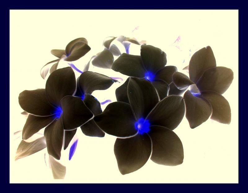 post-231841-0-25704000-1437397542_thumb.