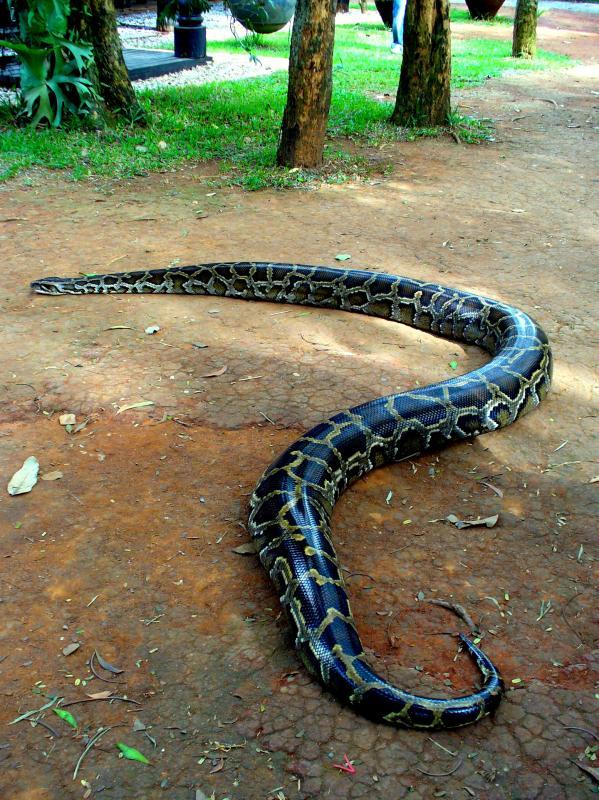 post-231841-0-26284100-1436354119_thumb.