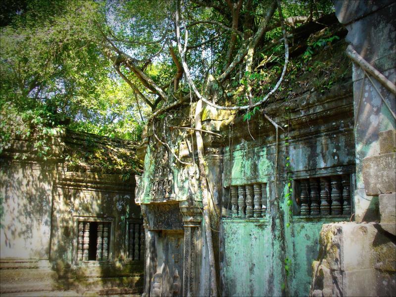 post-231841-0-34729900-1437055764_thumb.