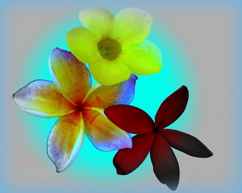 post-231841-0-43836200-1436015672_thumb.