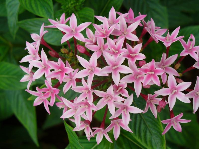 post-231841-0-64140400-1436011334_thumb.