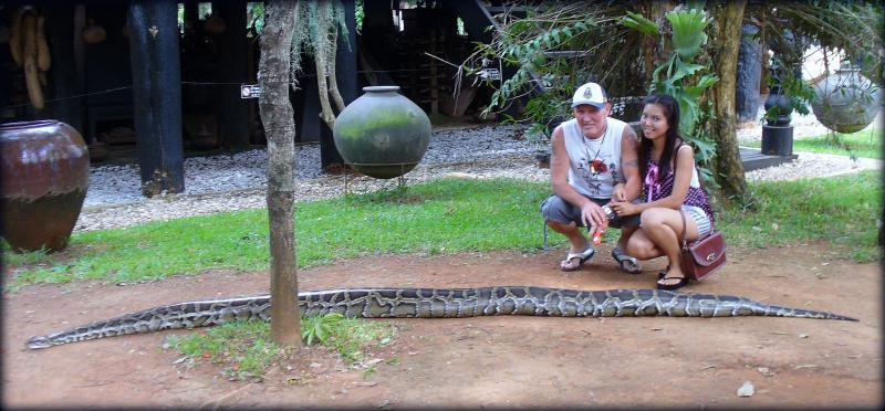 post-231841-0-80128000-1436613789_thumb.