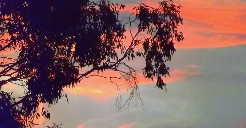 post-231841-0-87382800-1436355103_thumb.