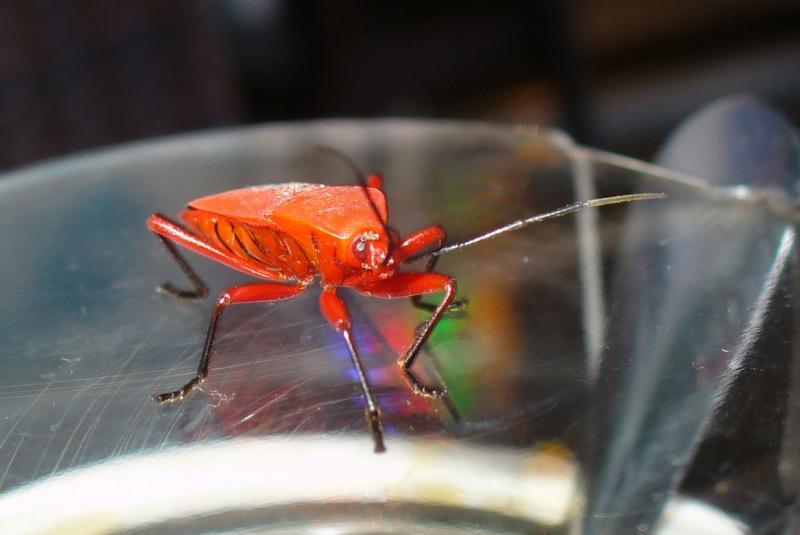 post-231841-0-87468300-1435846036_thumb.